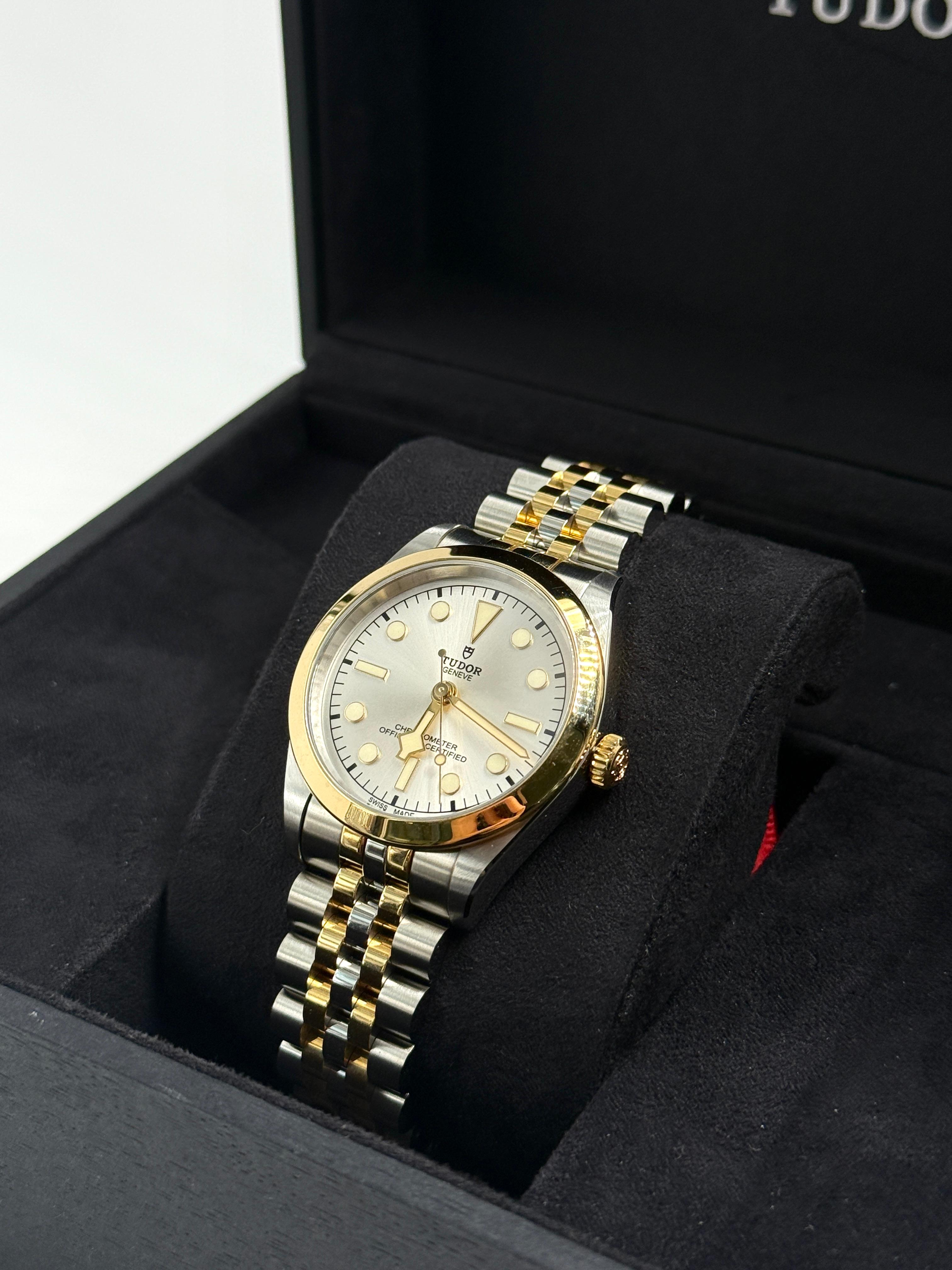 Tudor Black Bay 36 M79643-0002 SILVER