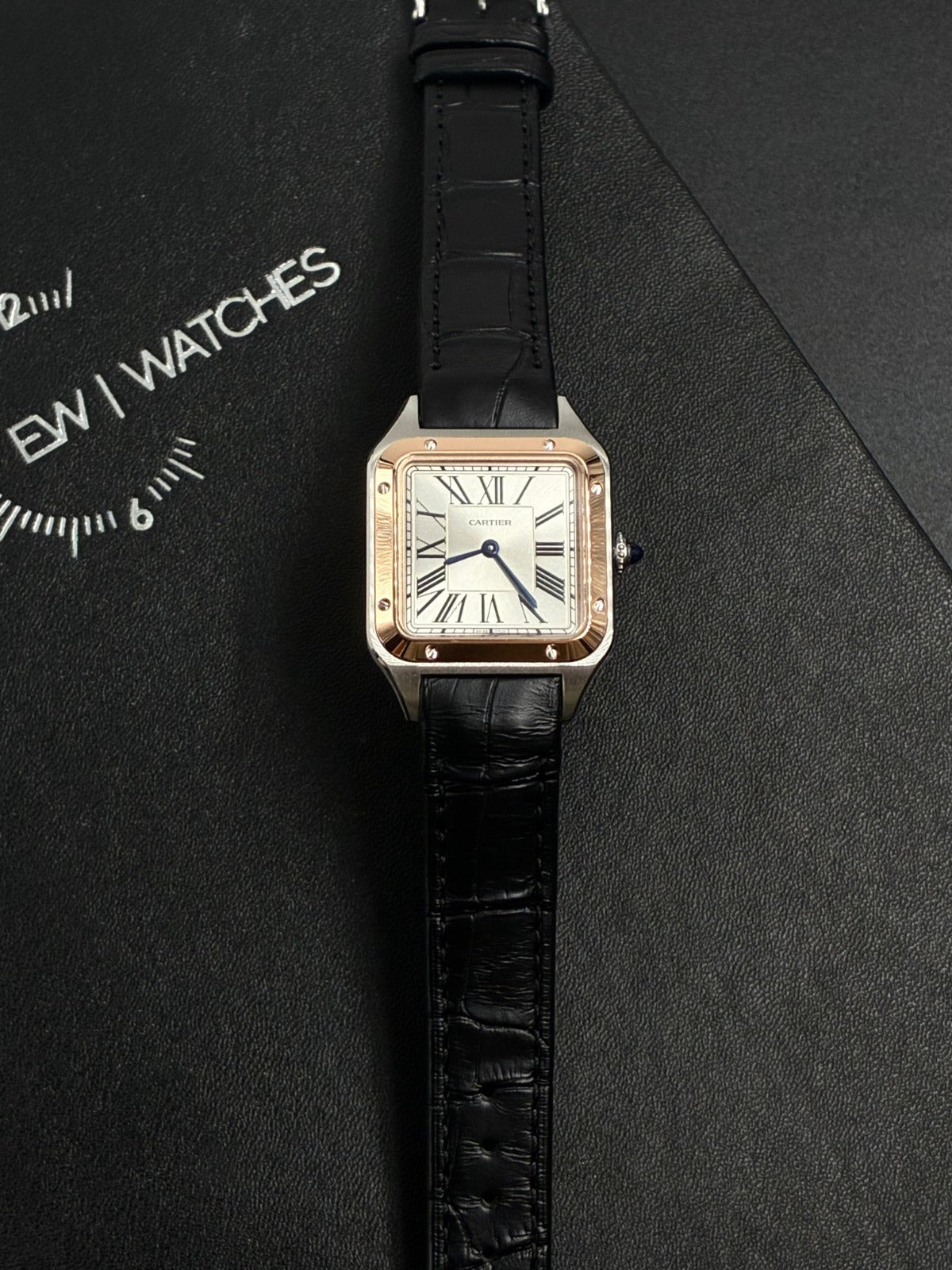 Cartier  Santos W2SA0038