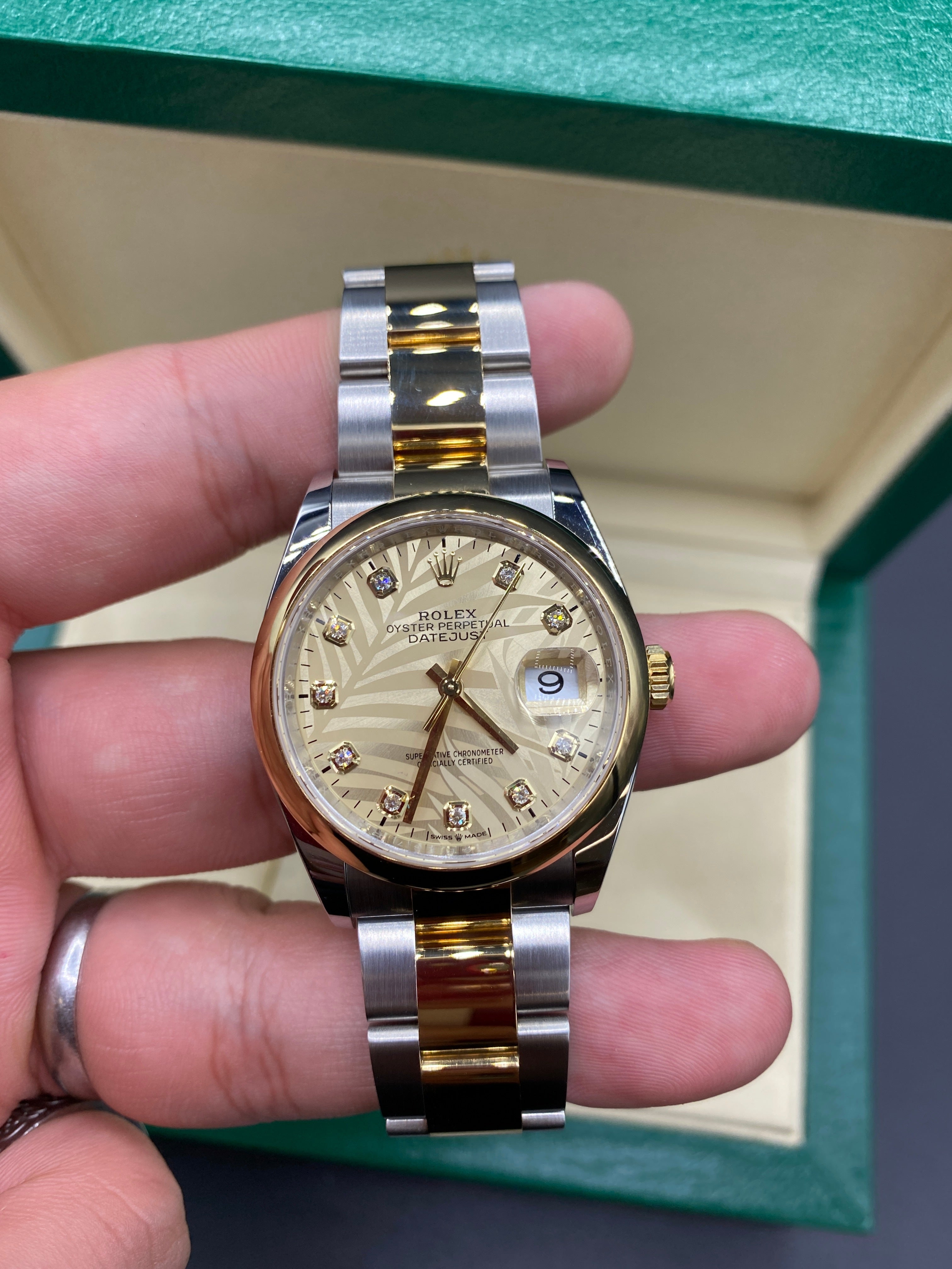 Rolex Datejust 36 126203G Champ Palm Oyster 2024
