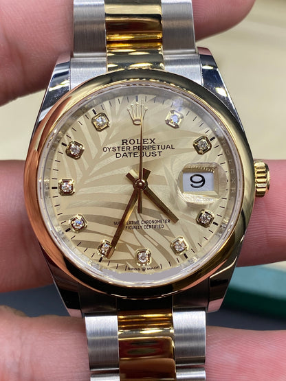 Rolex Datejust 36 126203G Champ Palm Oyster 2024