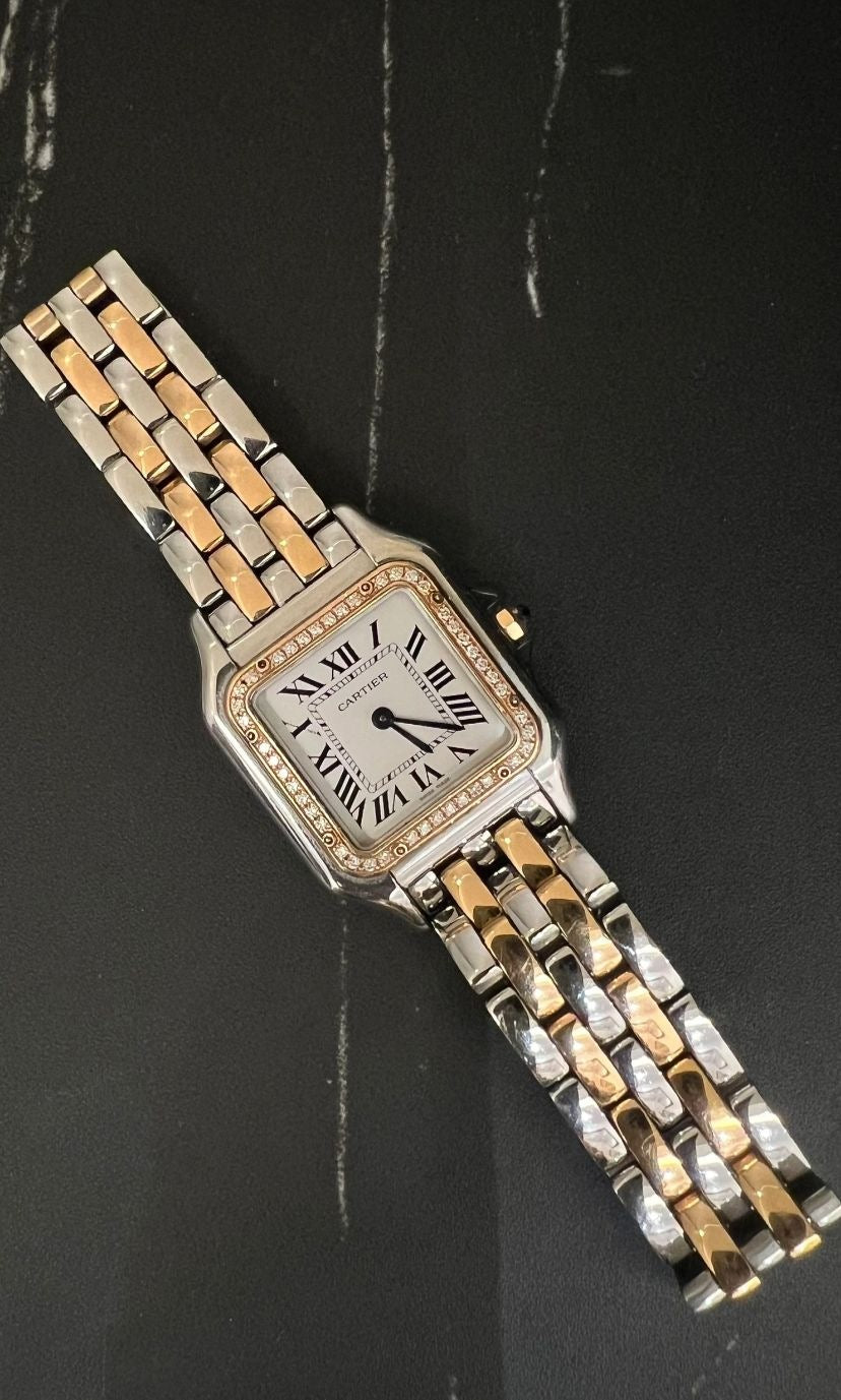 Cartier  Panthère  W3pn0015  2026