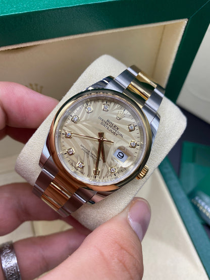 Rolex Datejust 36 126203G Champ Palm Oyster 2024
