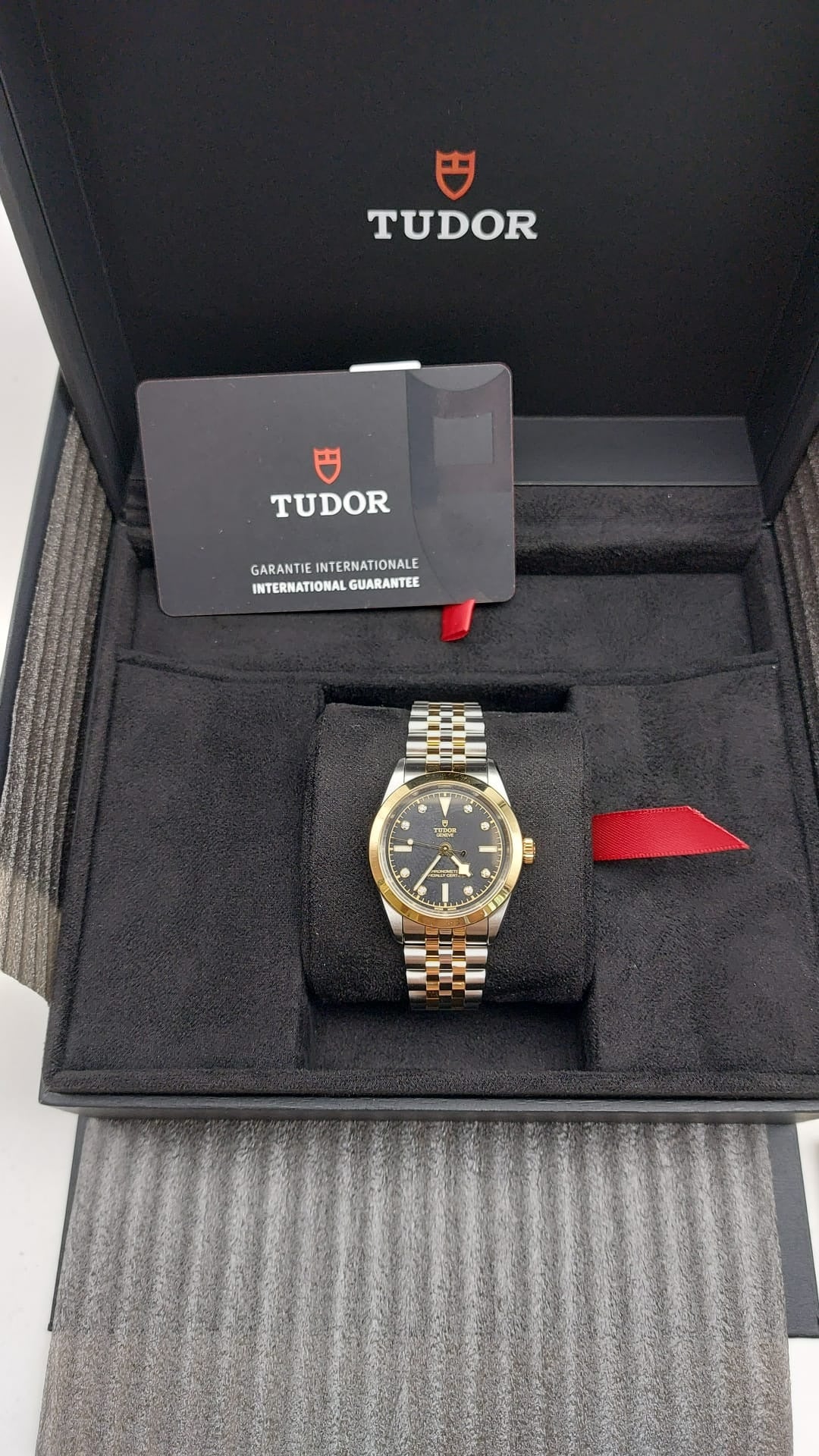 Tudor Black Bay S&G M79603-0006 BLACK