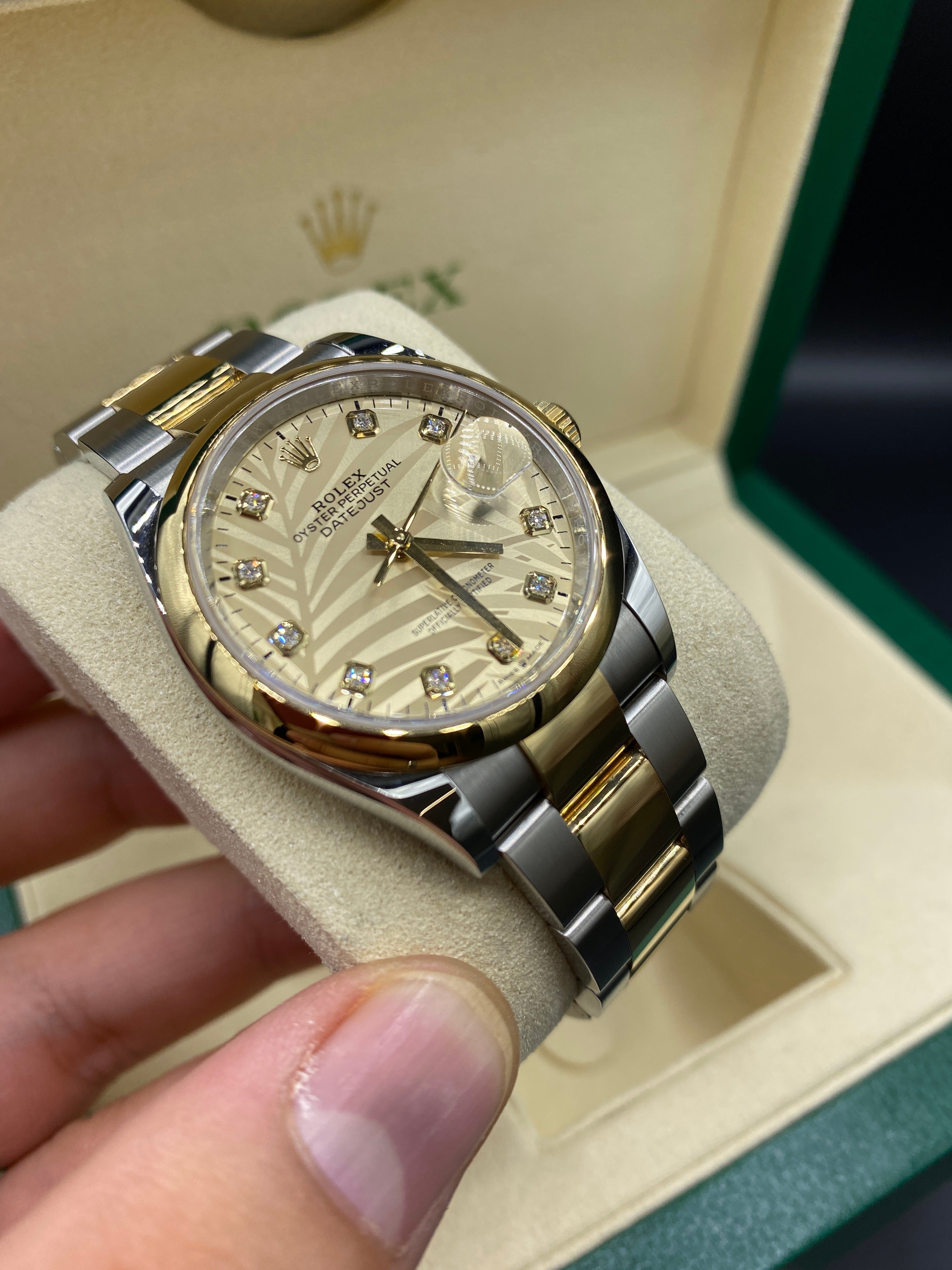 Rolex Datejust 36 126203G Champ Palm Oyster 2024