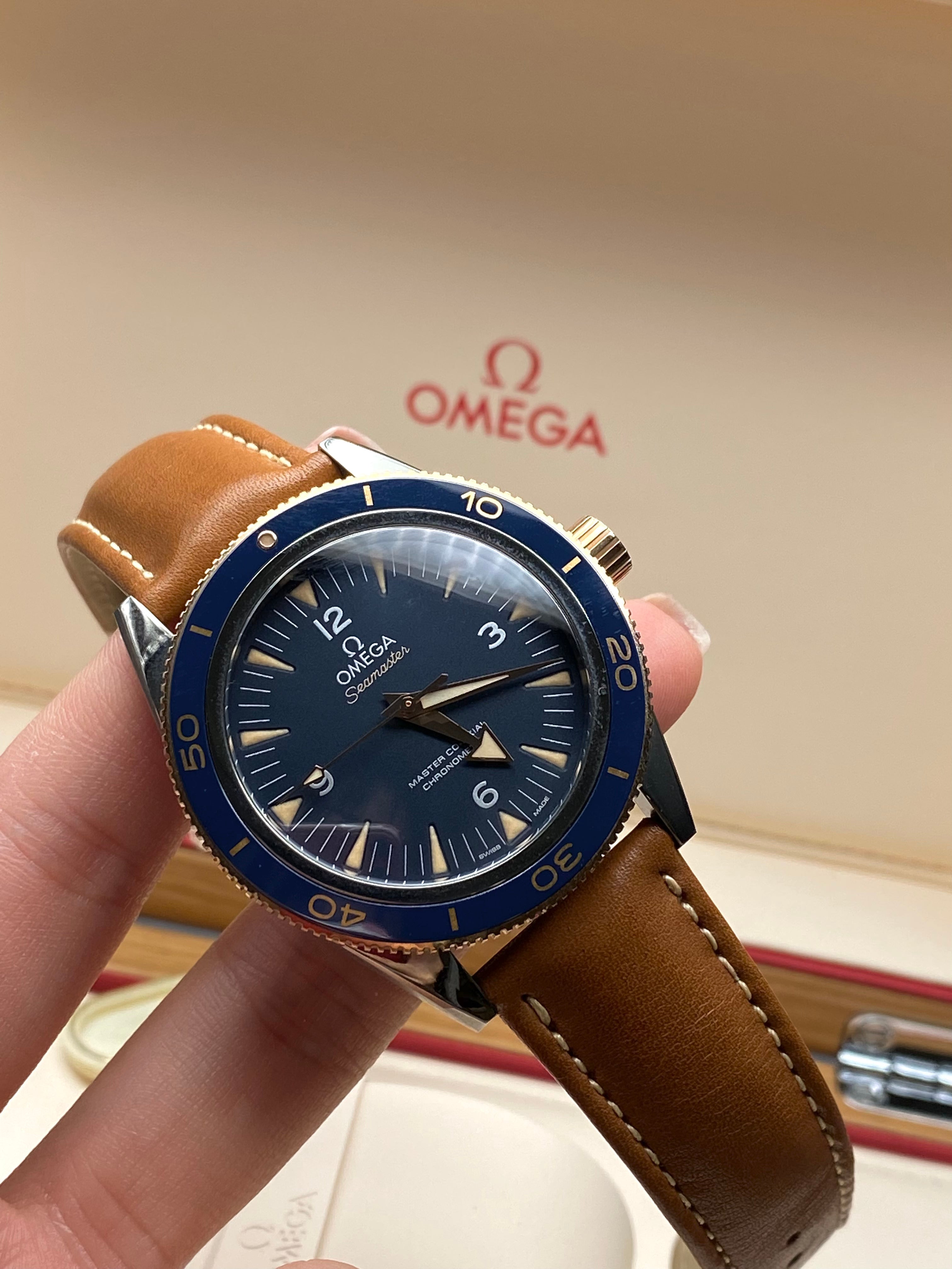 Omega Seamaster 300 Master Chronometer 41 mm 233.62.41.21.03.001 2025