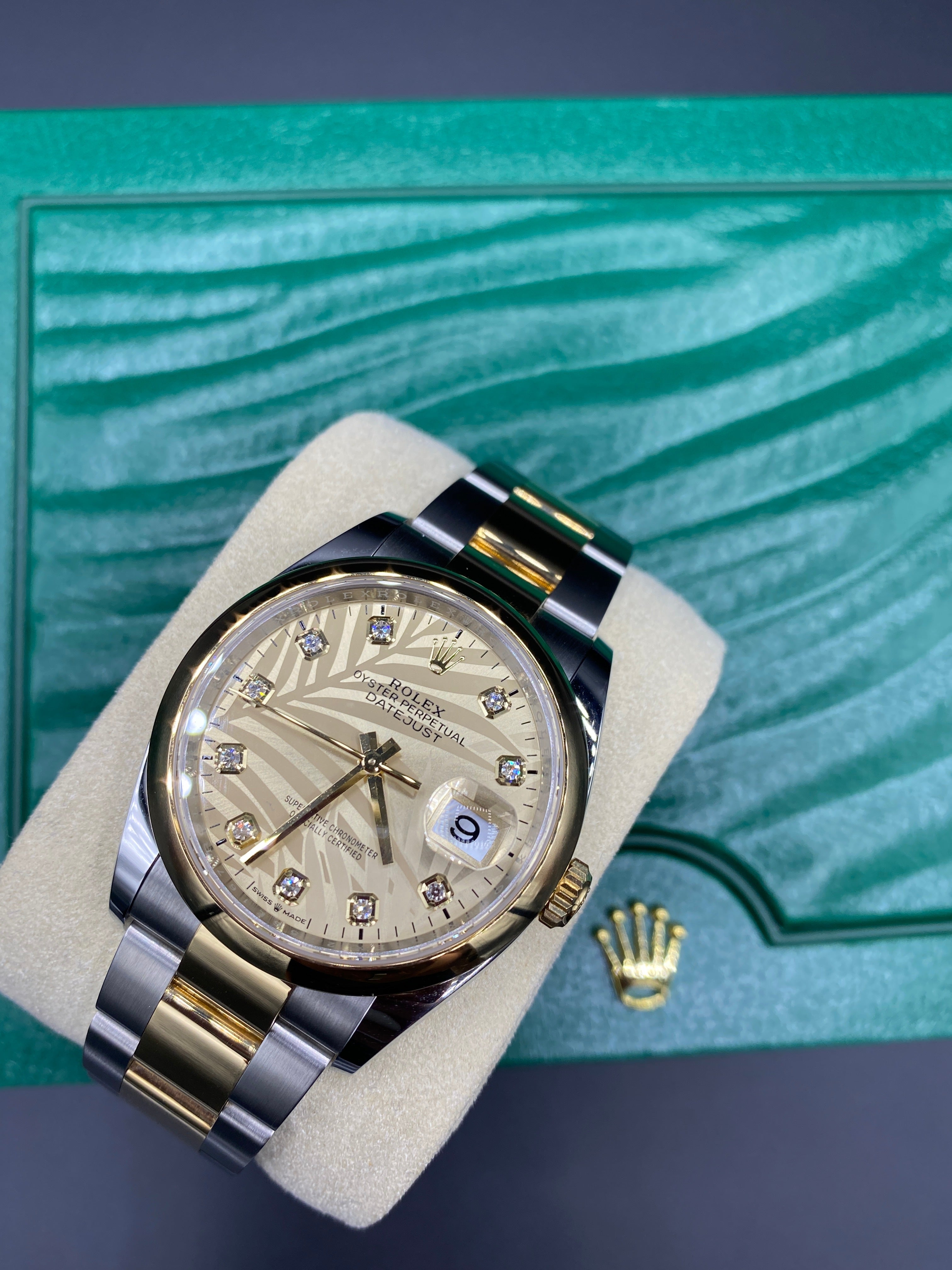 Rolex Datejust 36 126203G Champ Palm Oyster 2024