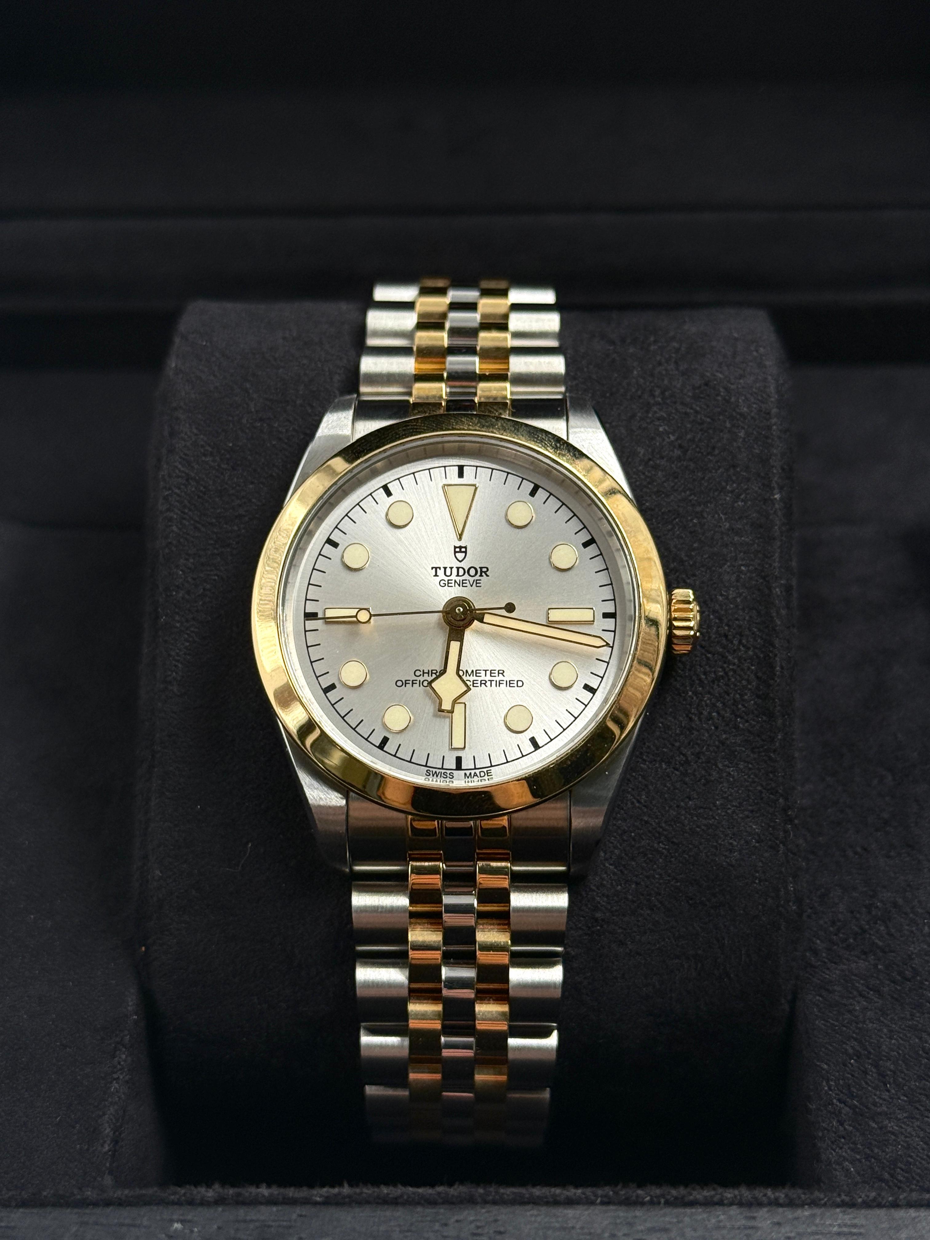 Tudor Black Bay 36 M79643-0002 SILVER