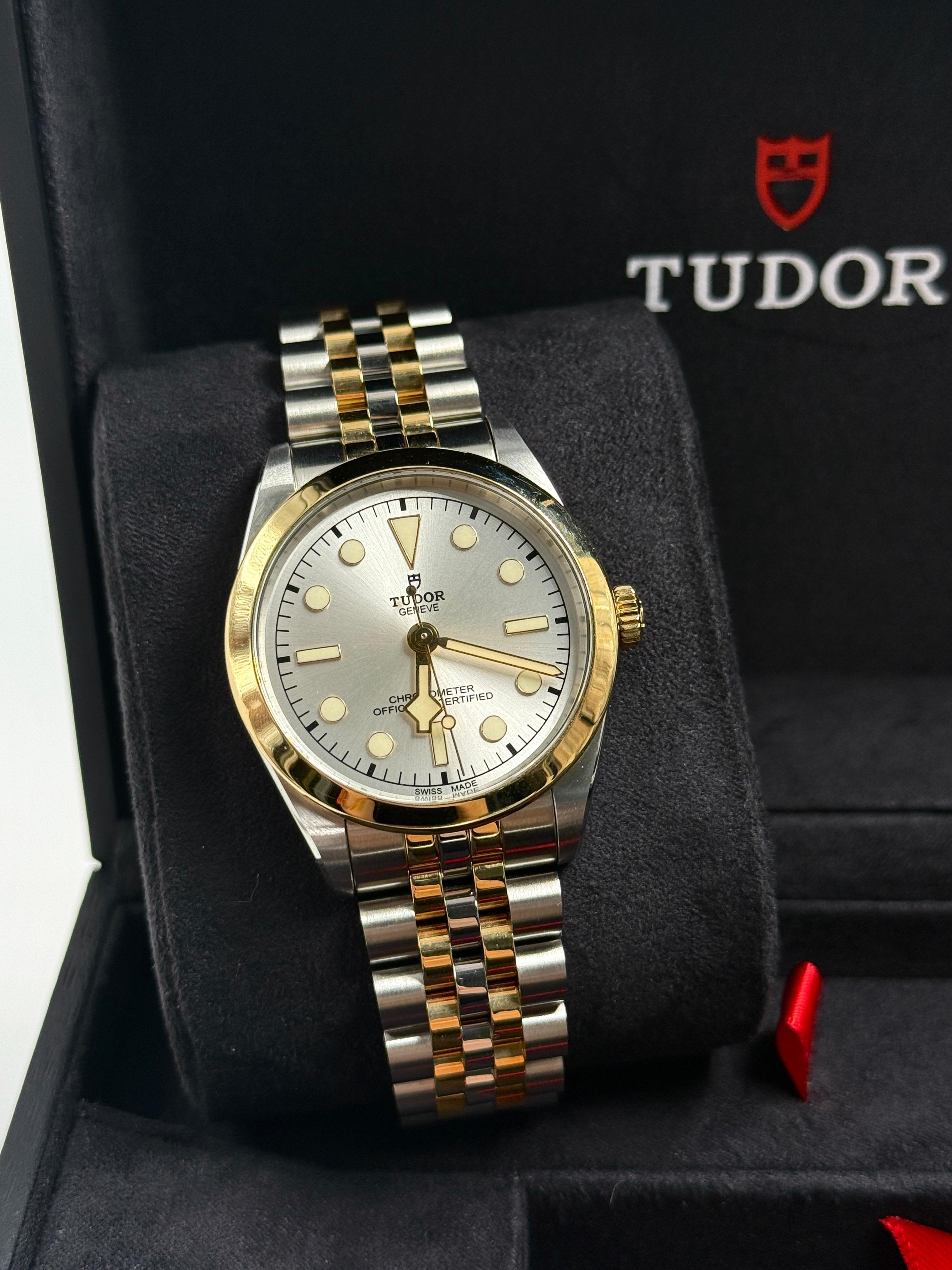 Tudor Black Bay 36 M79643-0002 SILVER