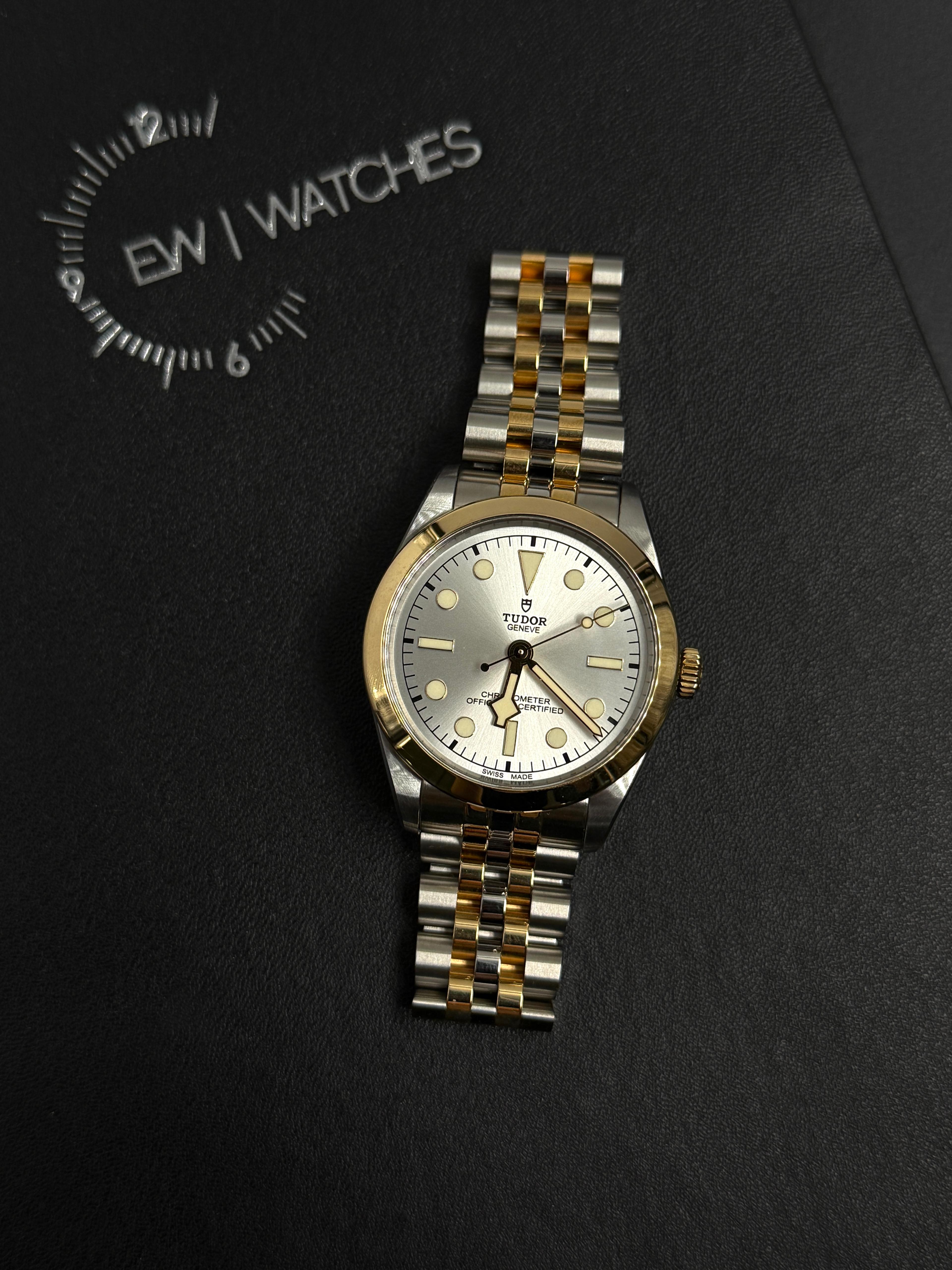 Tudor Black Bay 36 M79643-0002 SILVER