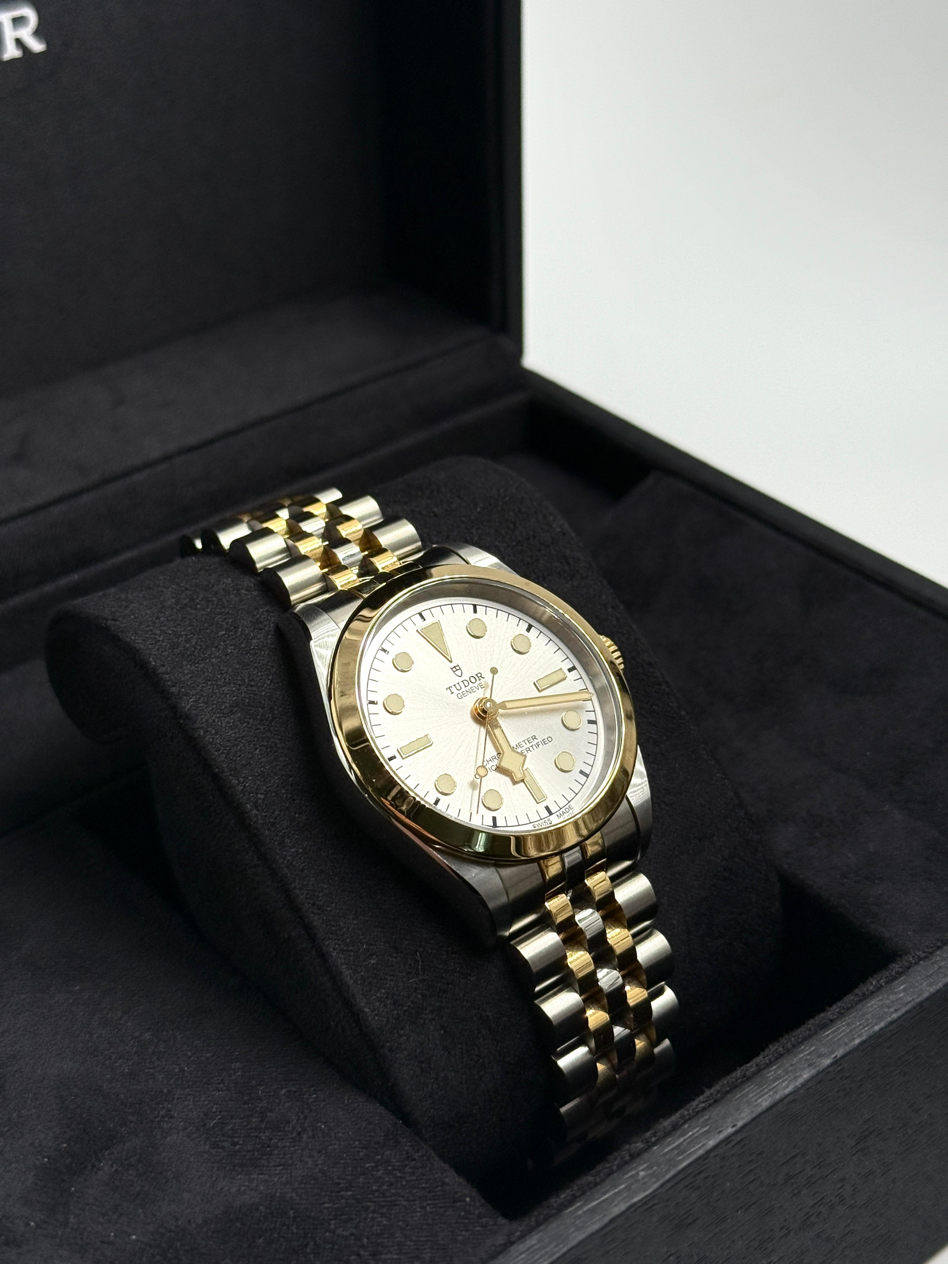 Tudor Black Bay 36 M79643-0002 SILVER