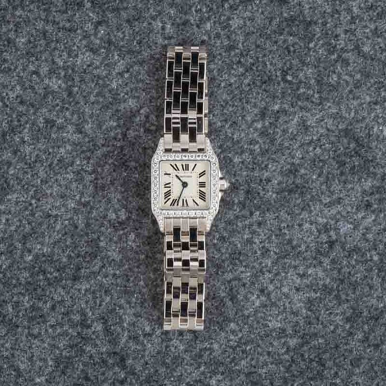 CARTIER Santos Demoiselle WF9003Y8 2026